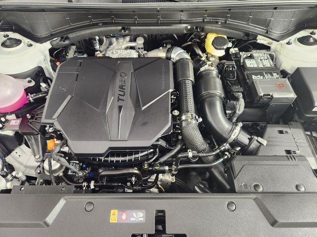 2025 Hyundai Santa Fe XRT - Photo 29