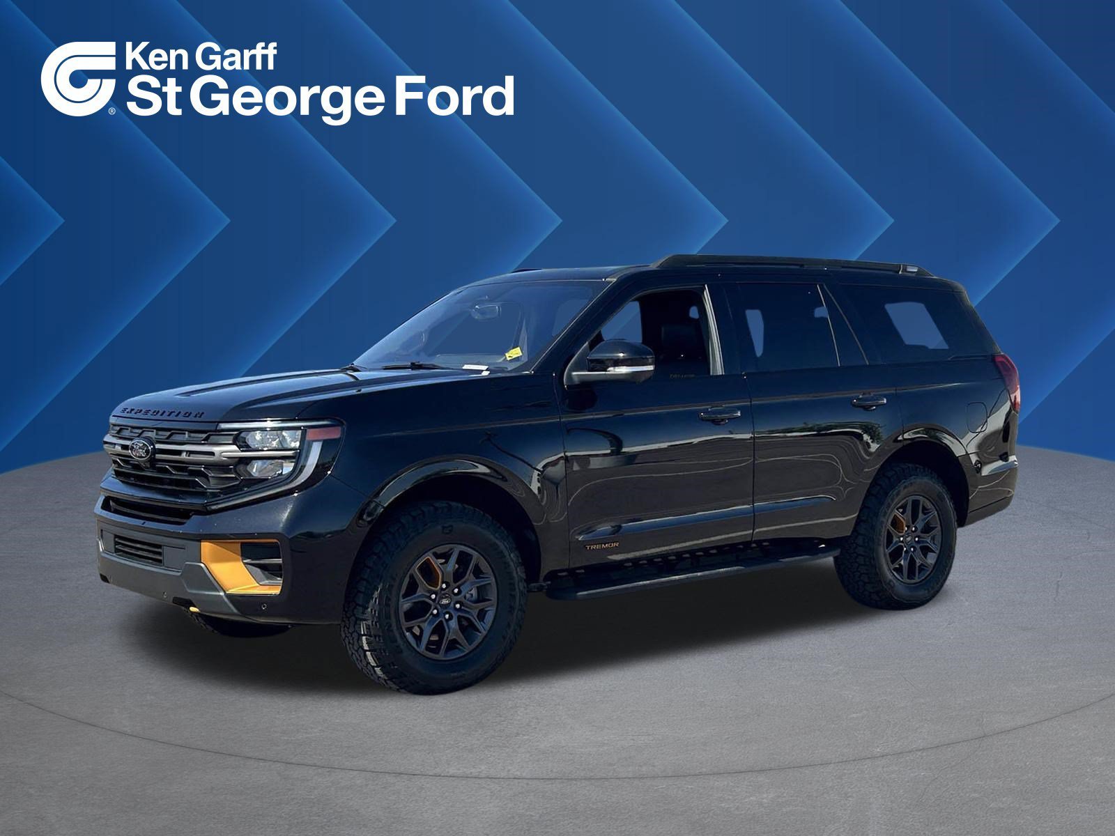 Used 2025 Agate Black Metallic Ford Tremor image 1