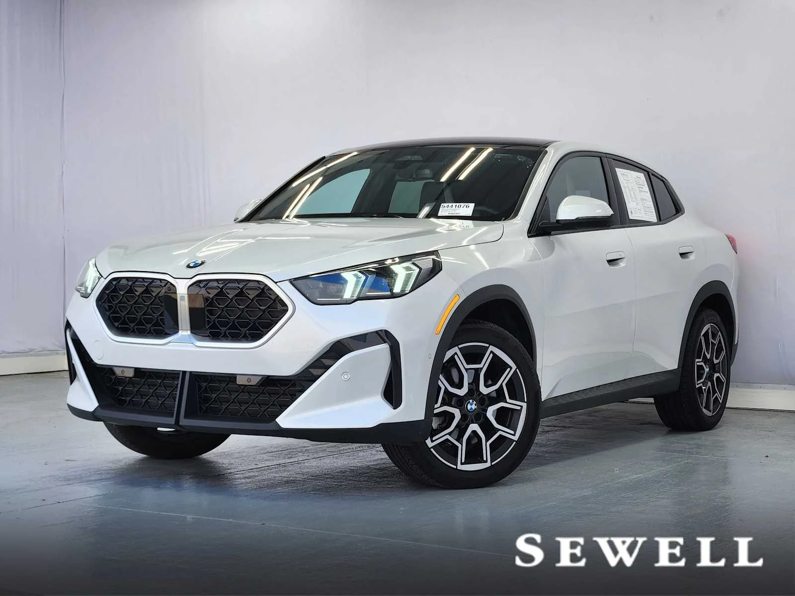 2025 BMW X2 xDrive28i's photo