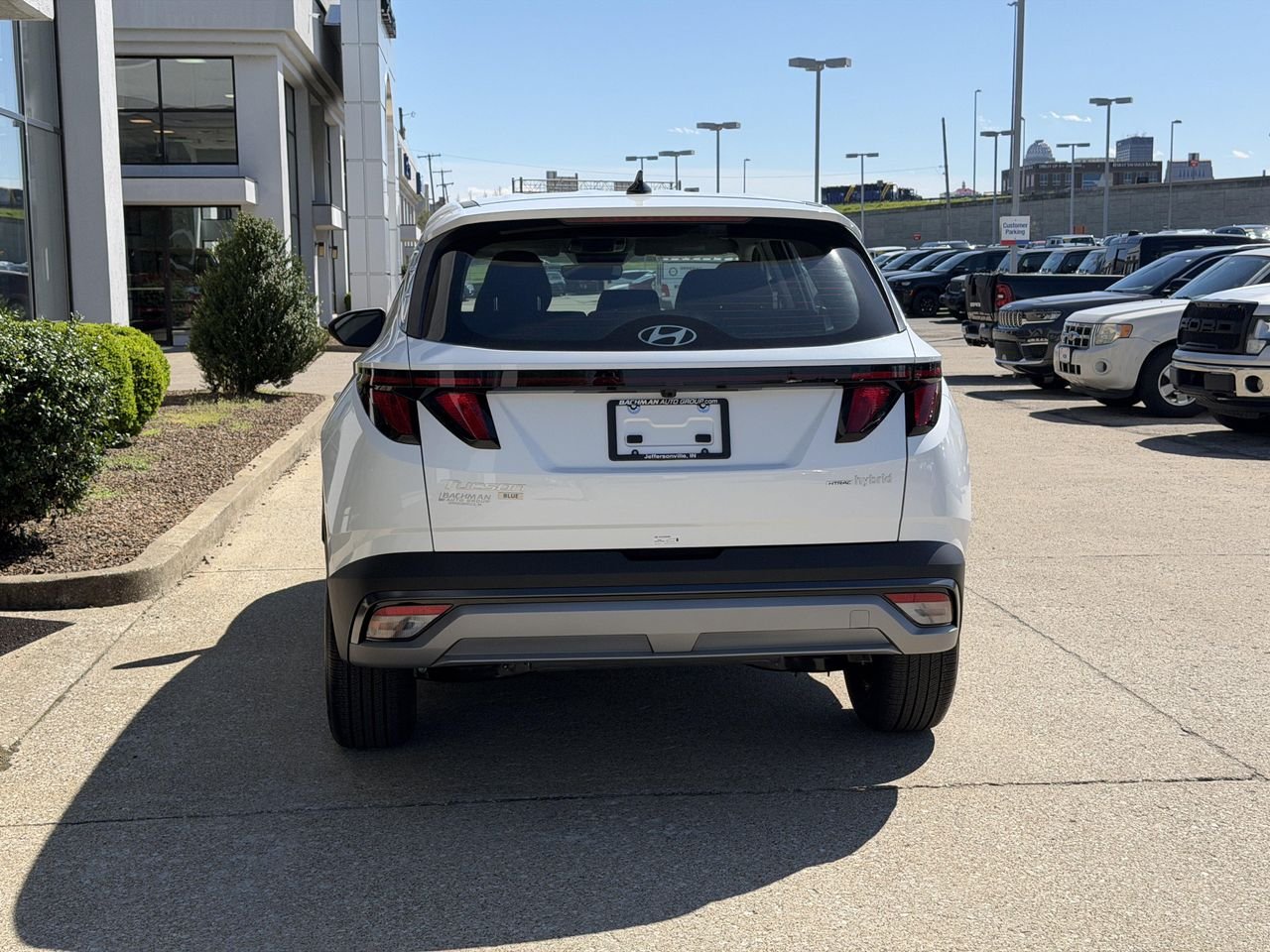 New 2026 Creamy White Pearl Hyundai Blue image 6