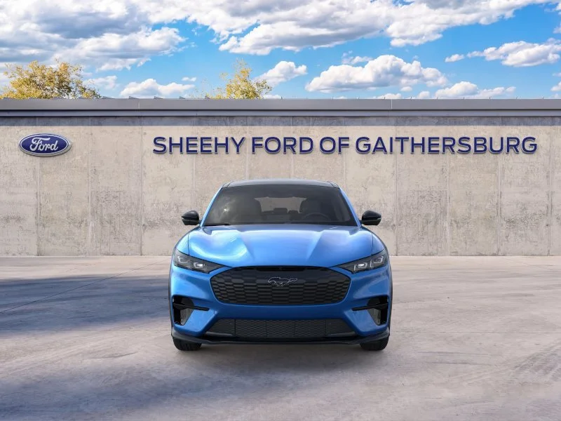 New 2026 Velocity Blue Metallic Ford Premium image 6