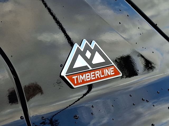2021 Ford Explorer TIMBERLINE - Photo 32