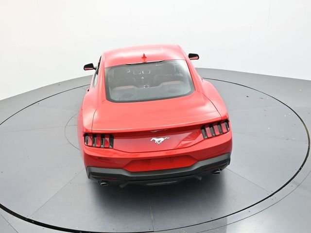 New 2026 Race Red Ford EcoBoost® Premium Fastback image 38