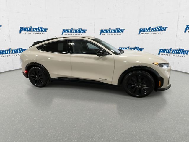 New 2026 Beige Ford Premium image 13