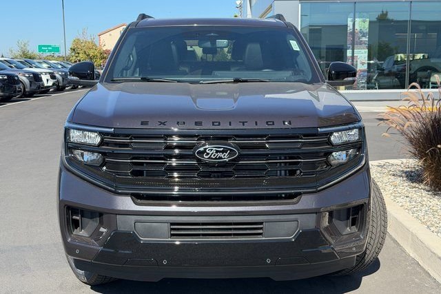 New 2026 Gray Ford Platinum image 3