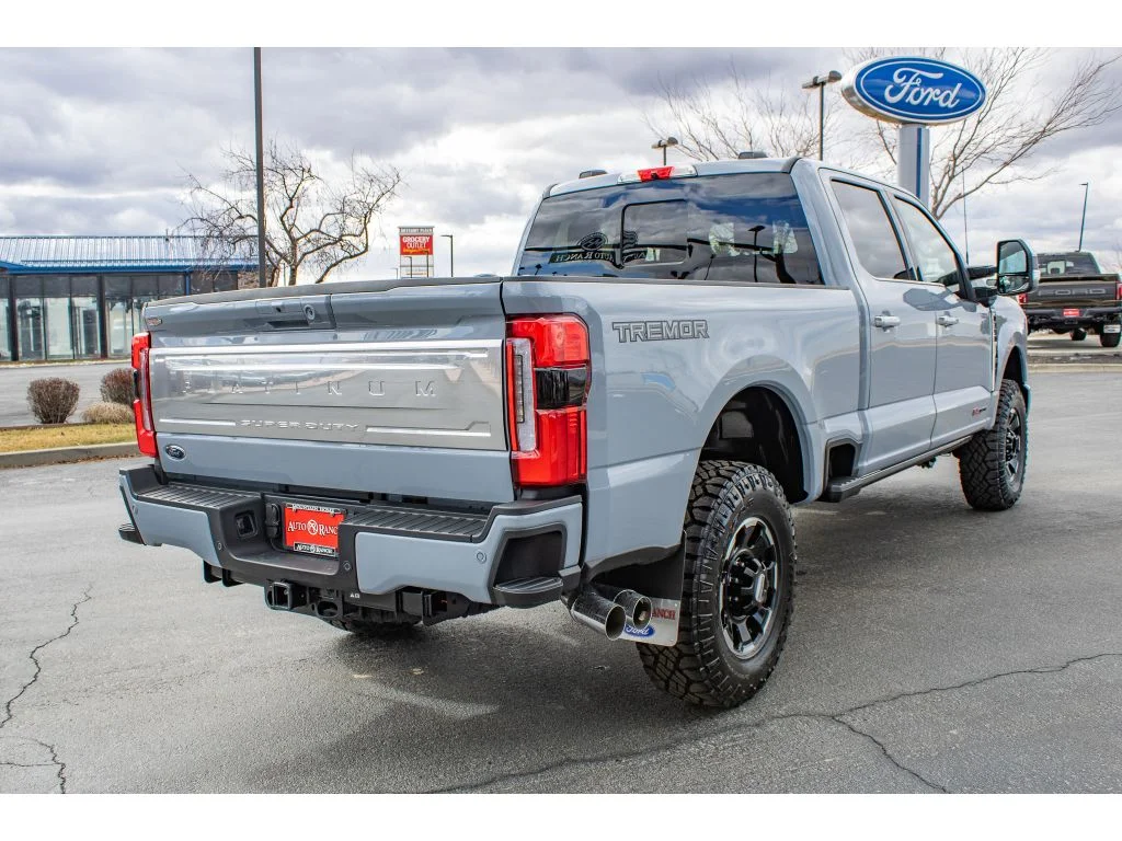 New 2026 Glacier Gray Metallic Tri-Coat Ford Platinum image 7