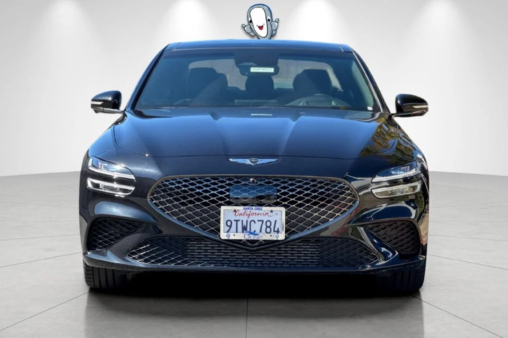 Used 2026 Vik Black Genesis 3.3T Sport Prestige image 10