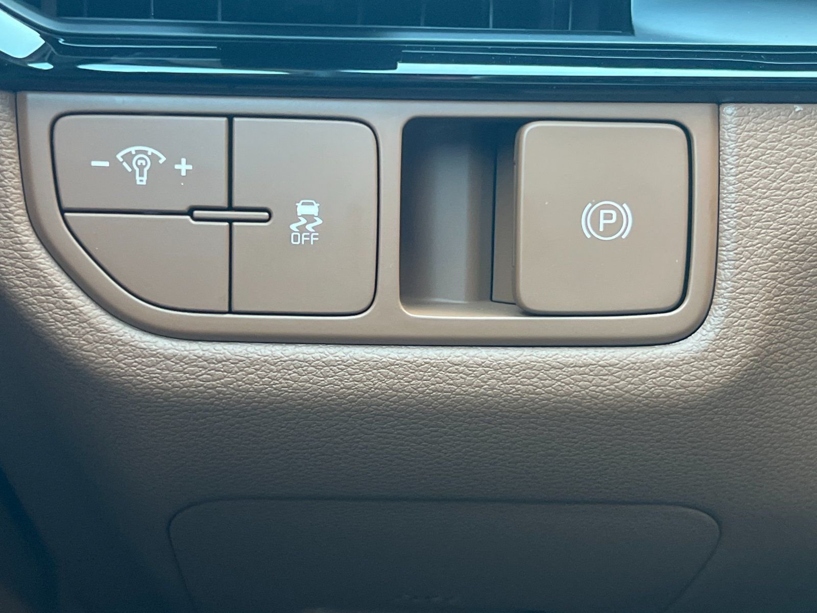New 2026 Panthera Metal Matte Kia X-Line image 29