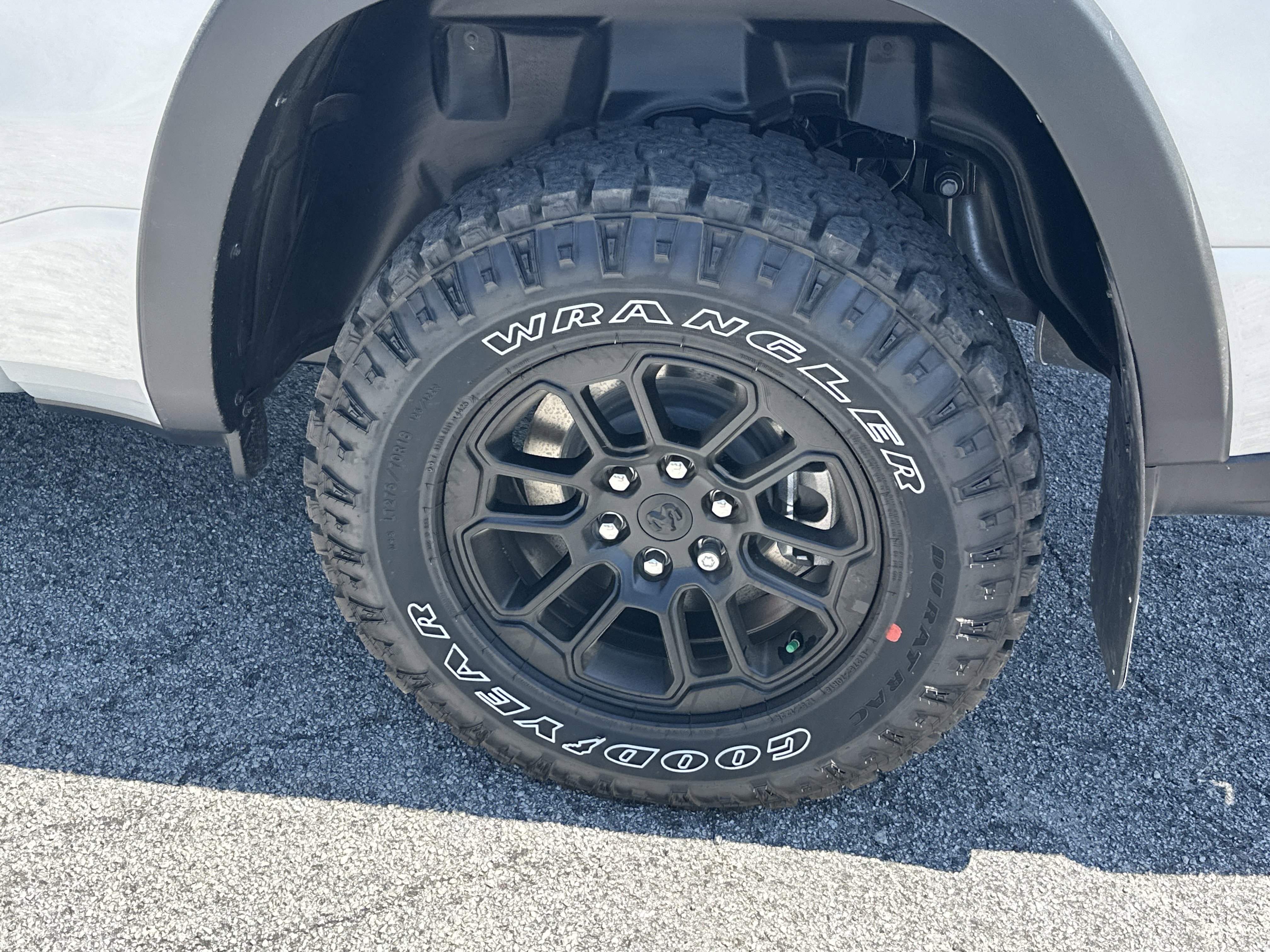 New 2026 Silver Zynith Exterior Paint RAM Rebel image 20