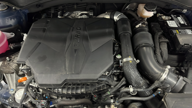 Used 2024 Black Kia X-Line SX image 28
