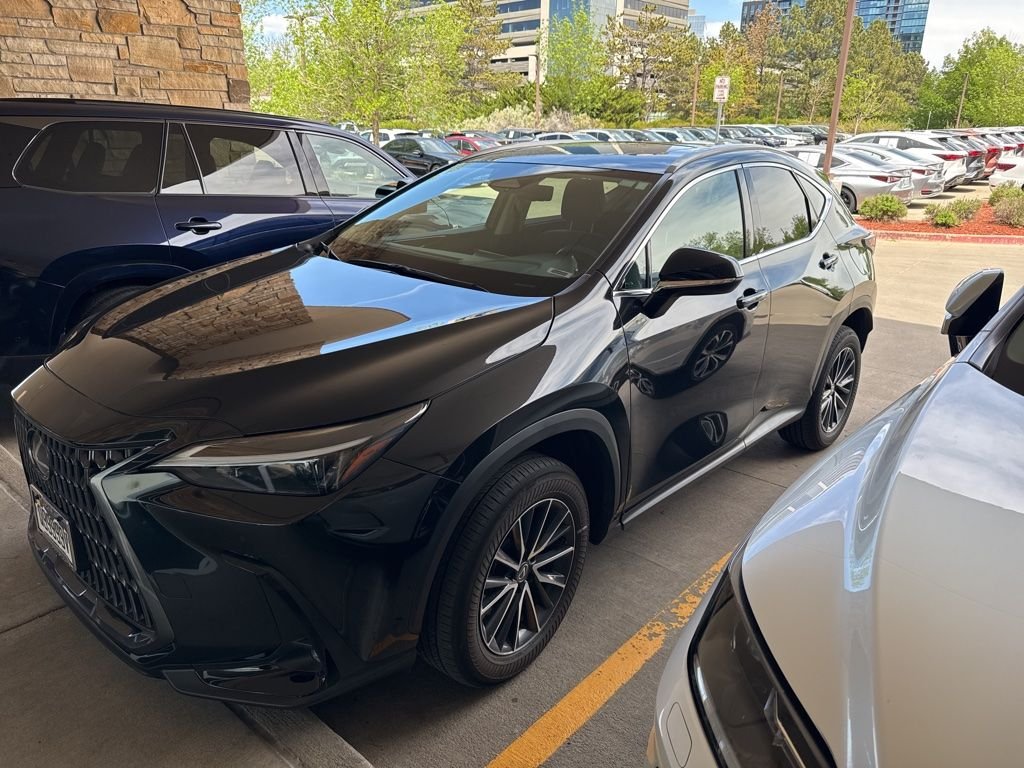 2024 Lexus NX 350h 350h Premium AWD's photo