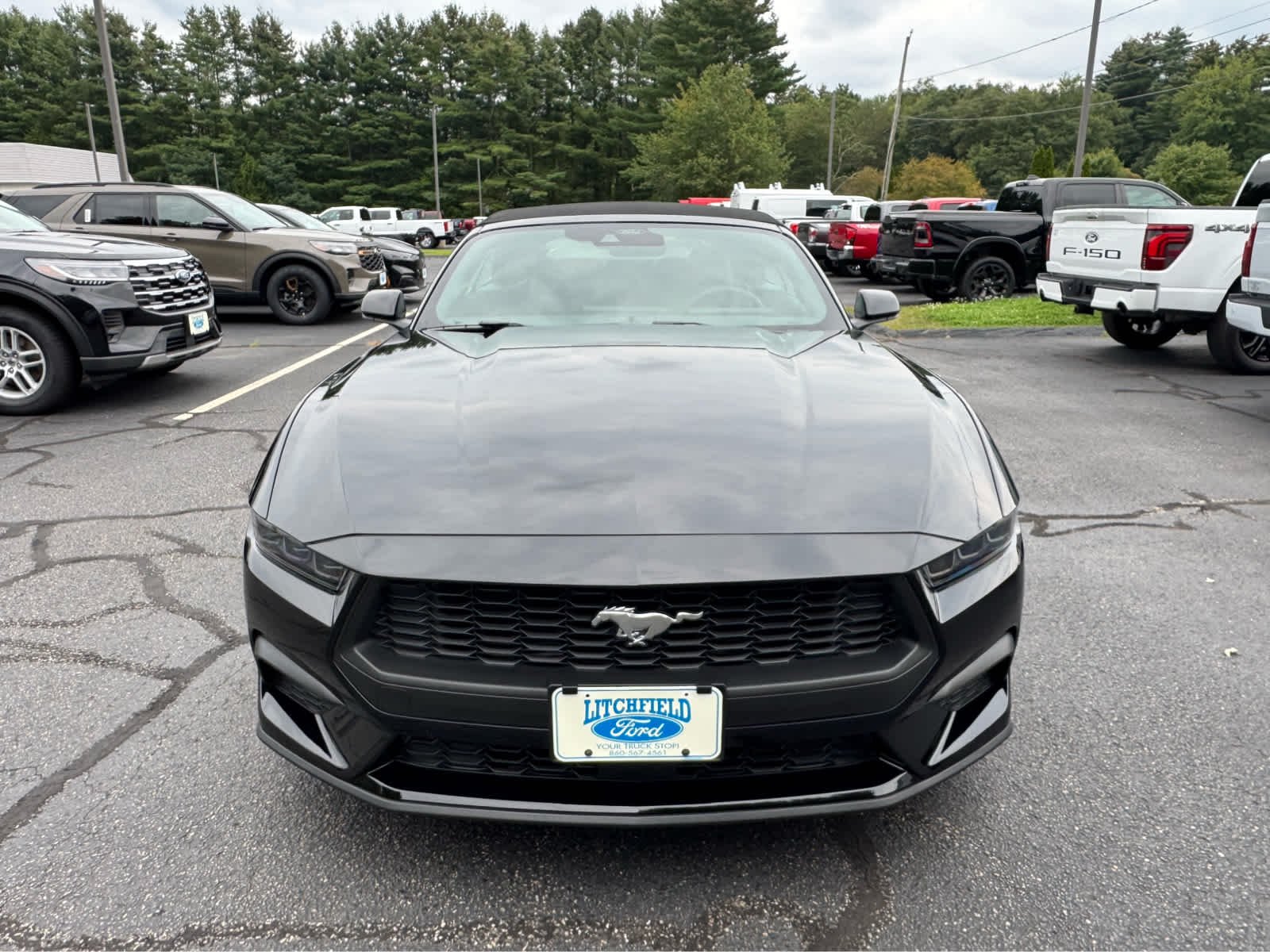 2026 Ford Mustang EcoBoost Premium Convertible - Photo 9