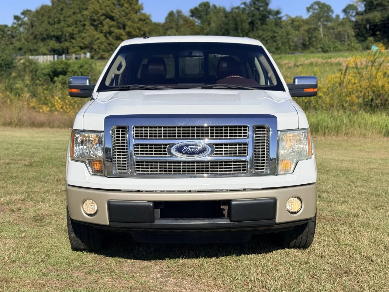 Used 2010 White Ford King Ranch 4x2 4dr SuperCrew Styleside 5.5 ft. SB image 8