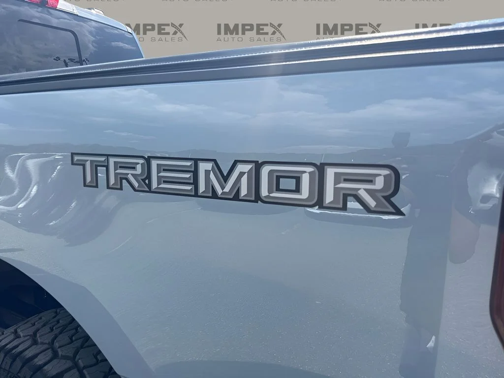 Used 2024 Gray Ford Lariat image 30