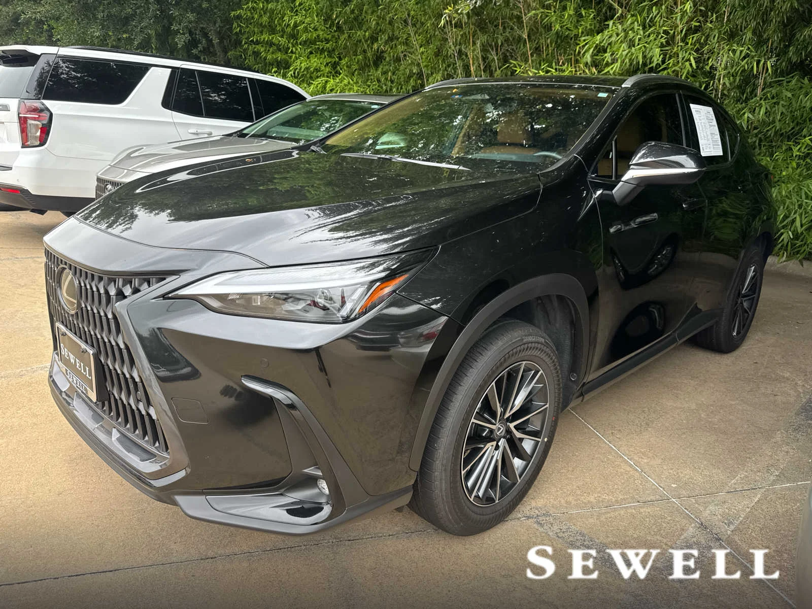 2025 Lexus NX 350's photo