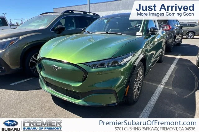 Used 2024 Green Ford Premium image 1