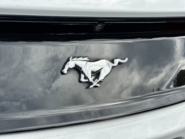Used 2017 White Ford EcoBoost Premium image 24