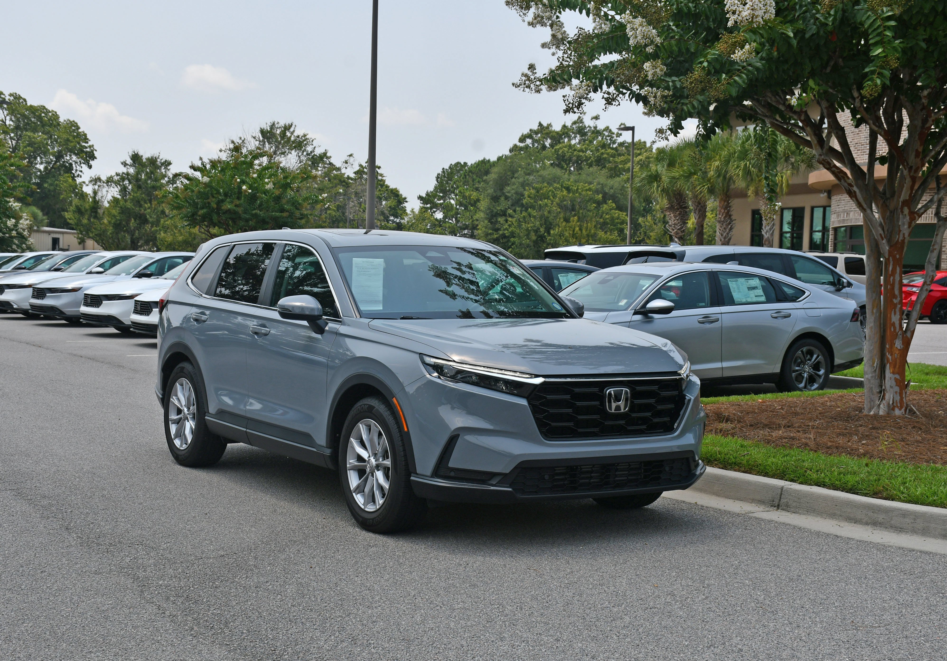 Used 2025  Honda EX-L image 6