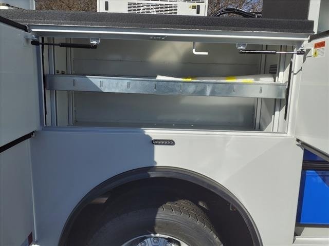 Used 2024 BRIGHT Ram 4X4 2dr Regular Cab 168.5 in. WB image 8