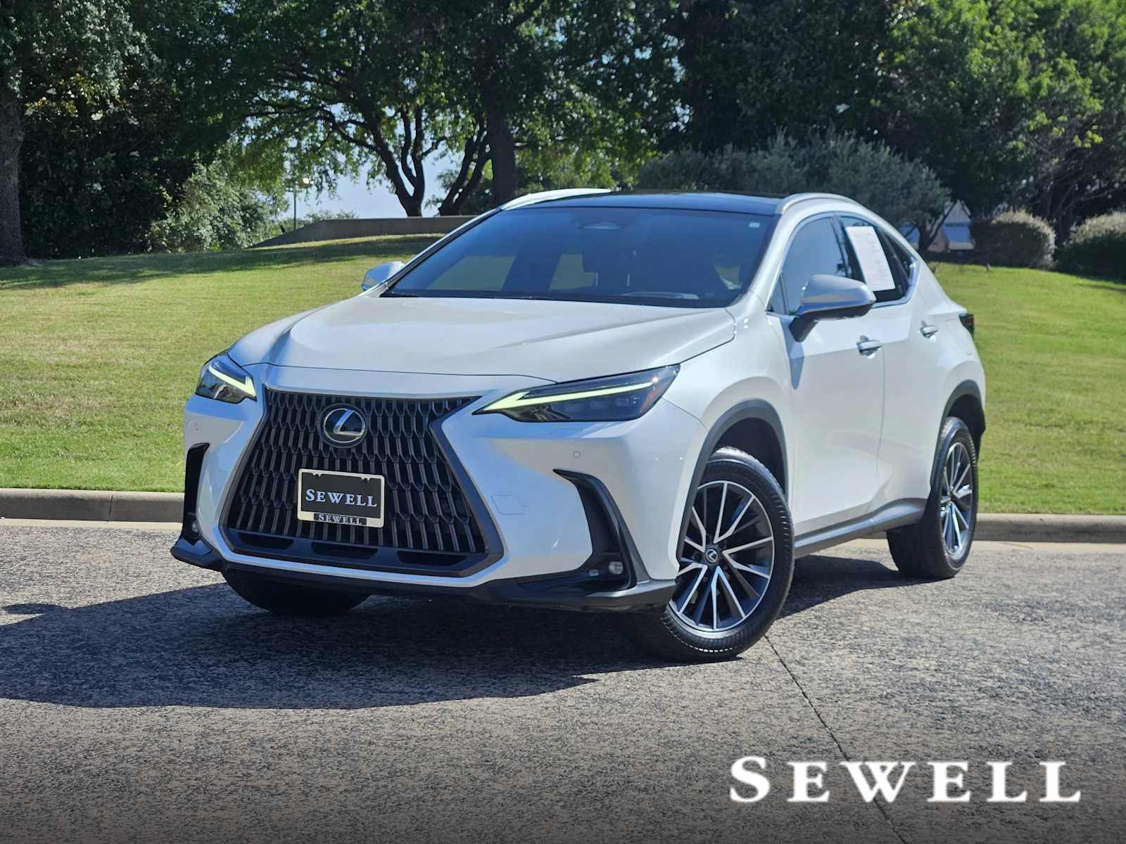 2024 Lexus NX 350 350 Luxury AWD's photo
