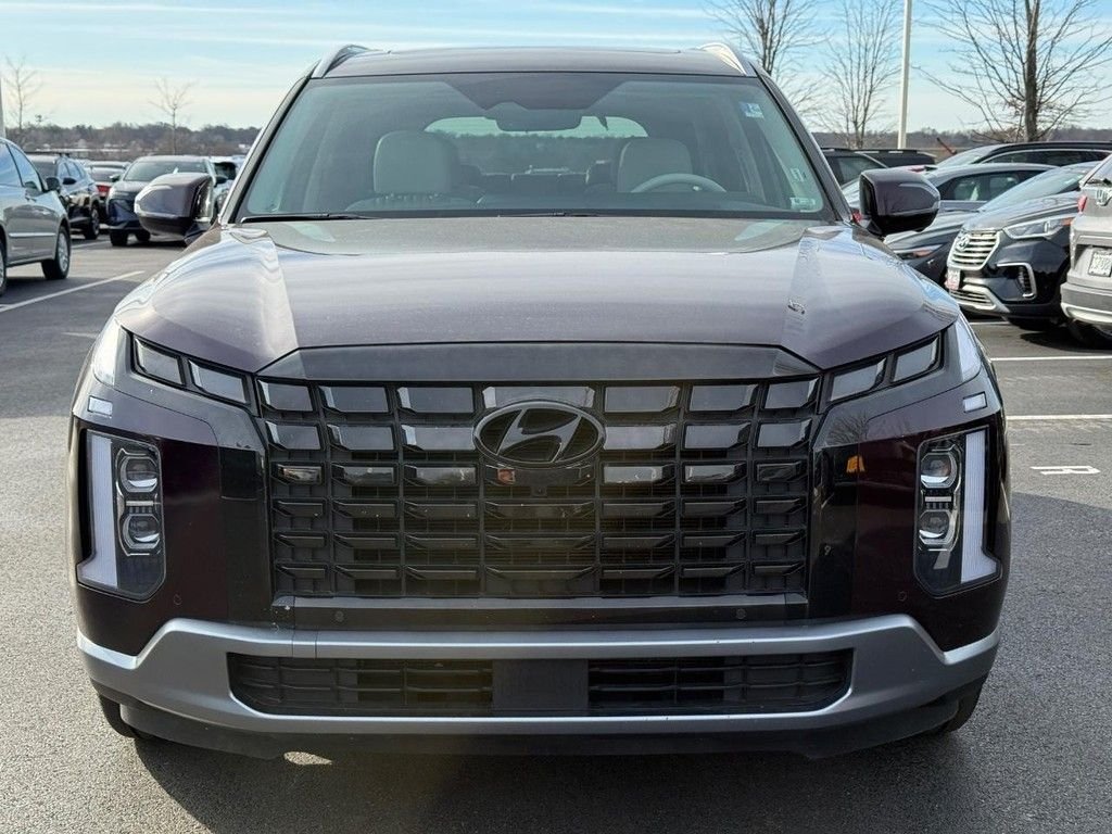 2024 Hyundai Palisade Limited - Photo 9