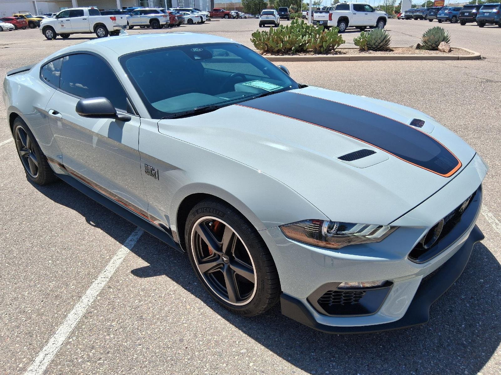 Used 2022 Fighter Jet Gray Ford Mach 1 image 8