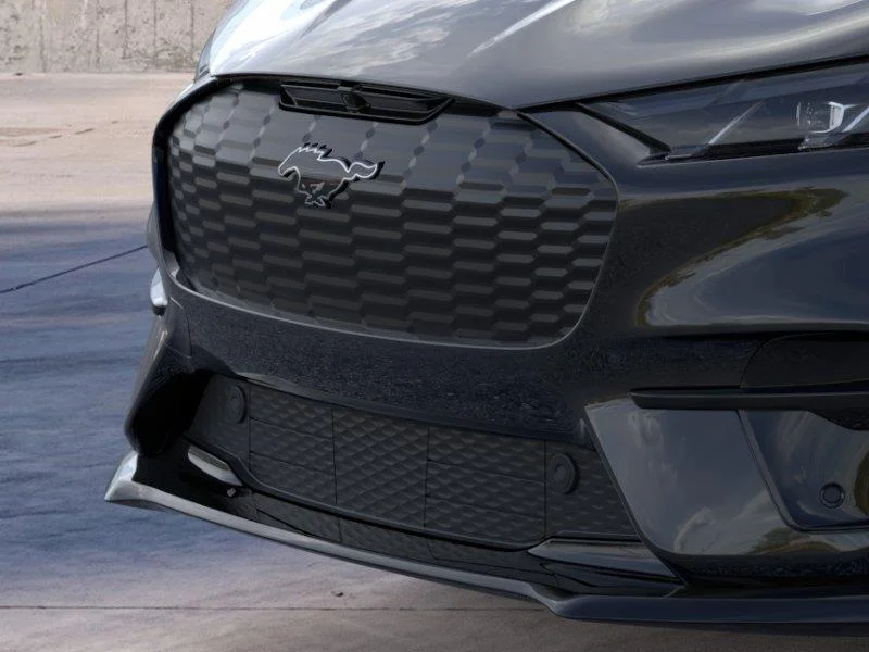 New 2025 Shadow Black Ford Premium image 17