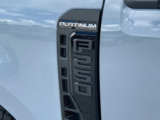 New 2026 Gray Metallic Ford Platinum image 19