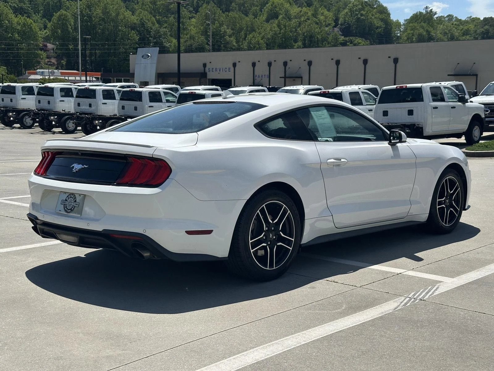 Used 2021 Oxford White Ford EcoBoost Premium image 7