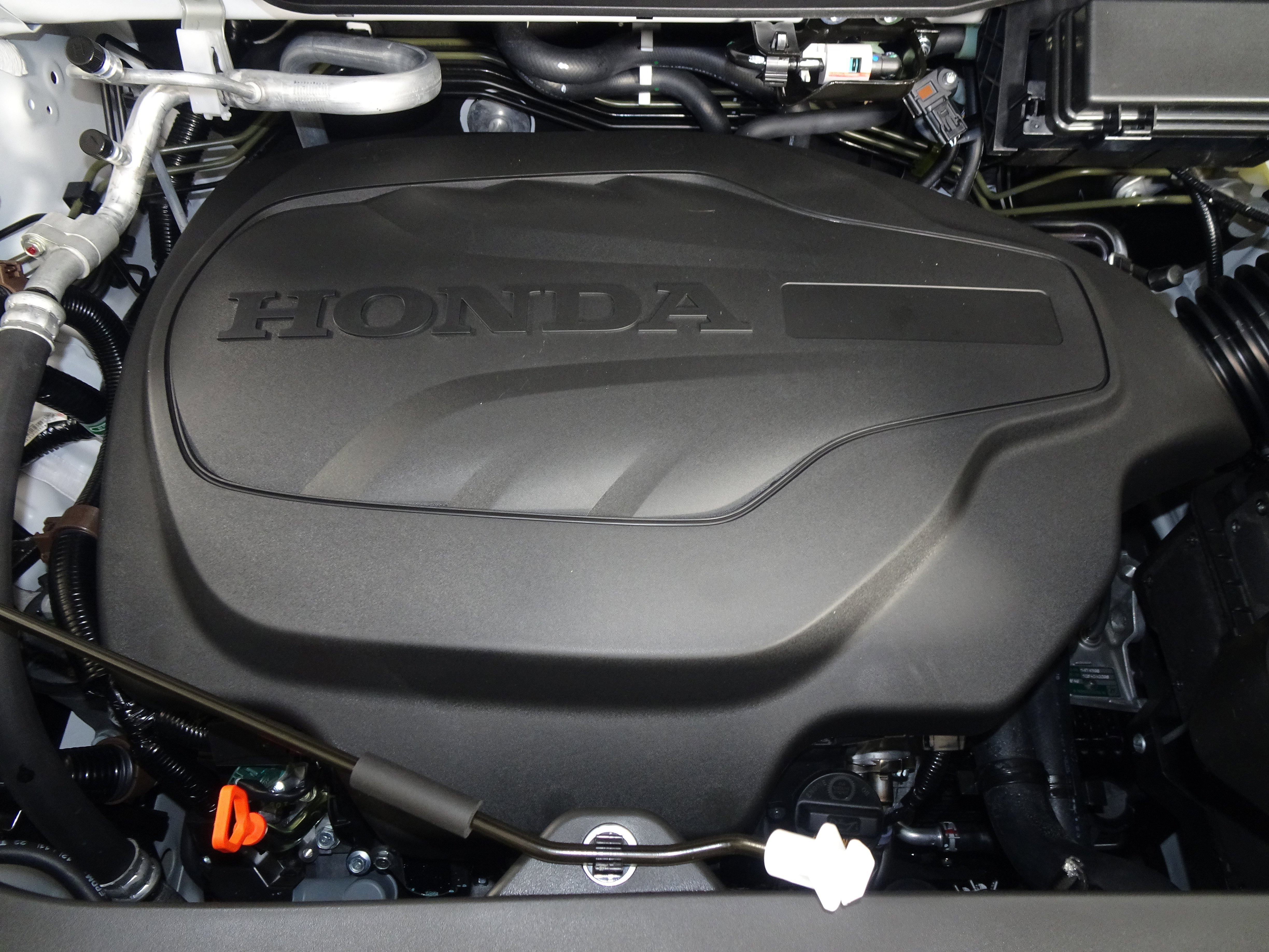 New 2026 Platinum White Pearl Honda RTL image 9