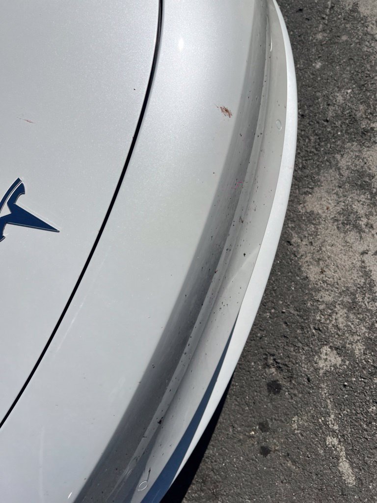 Used 2021 White Tesla Long Range image 19