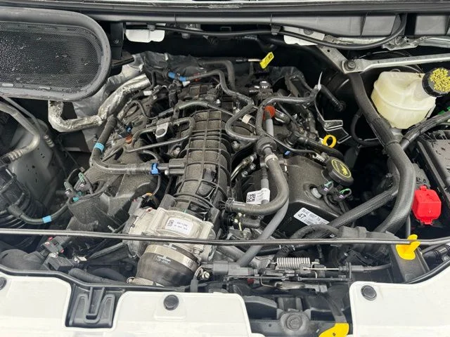 New 2026 Oxford White Ford Base image 9