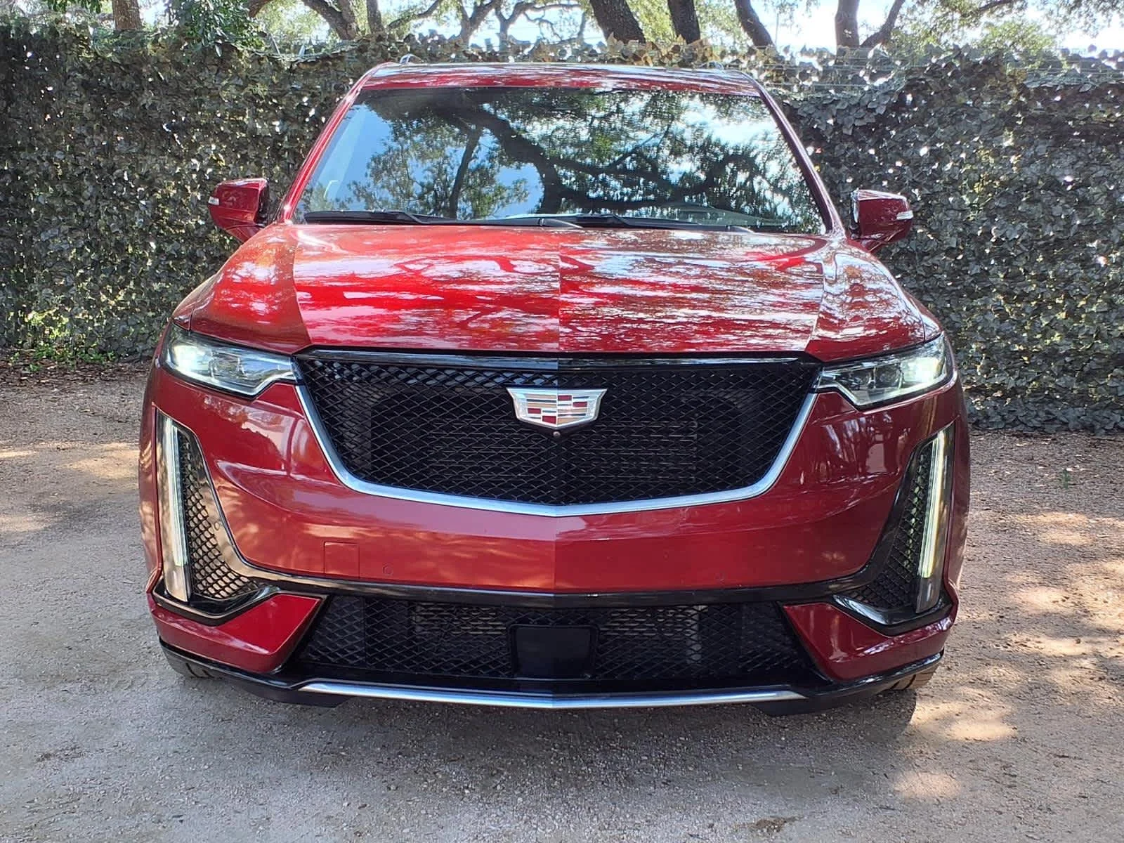 Used 2024 Radiant Red Tintcoat Cadillac Sport image 2
