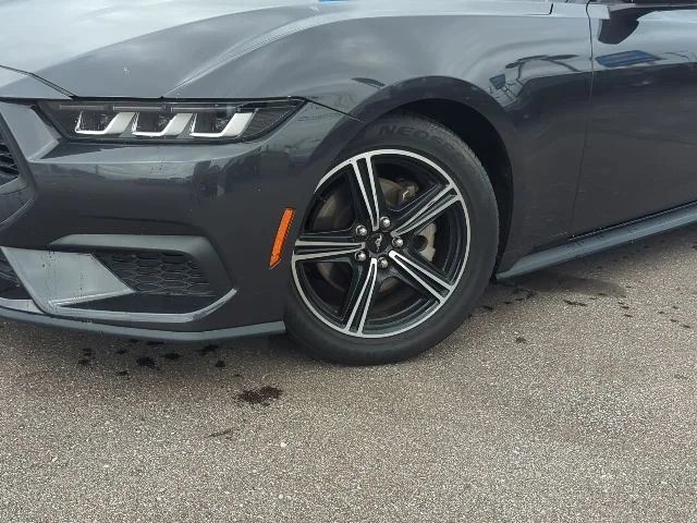 Used 2024 Gray Ford EcoBoost Premium image 4