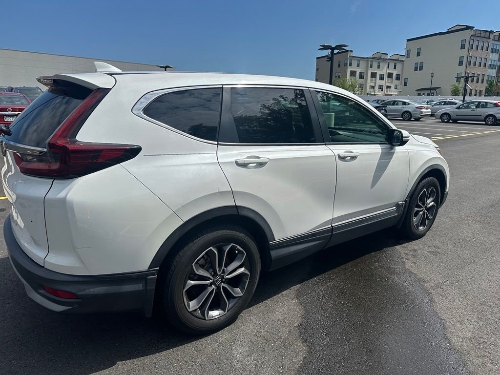 Used 2020 Platinum White Pearl Honda EX-L image 4