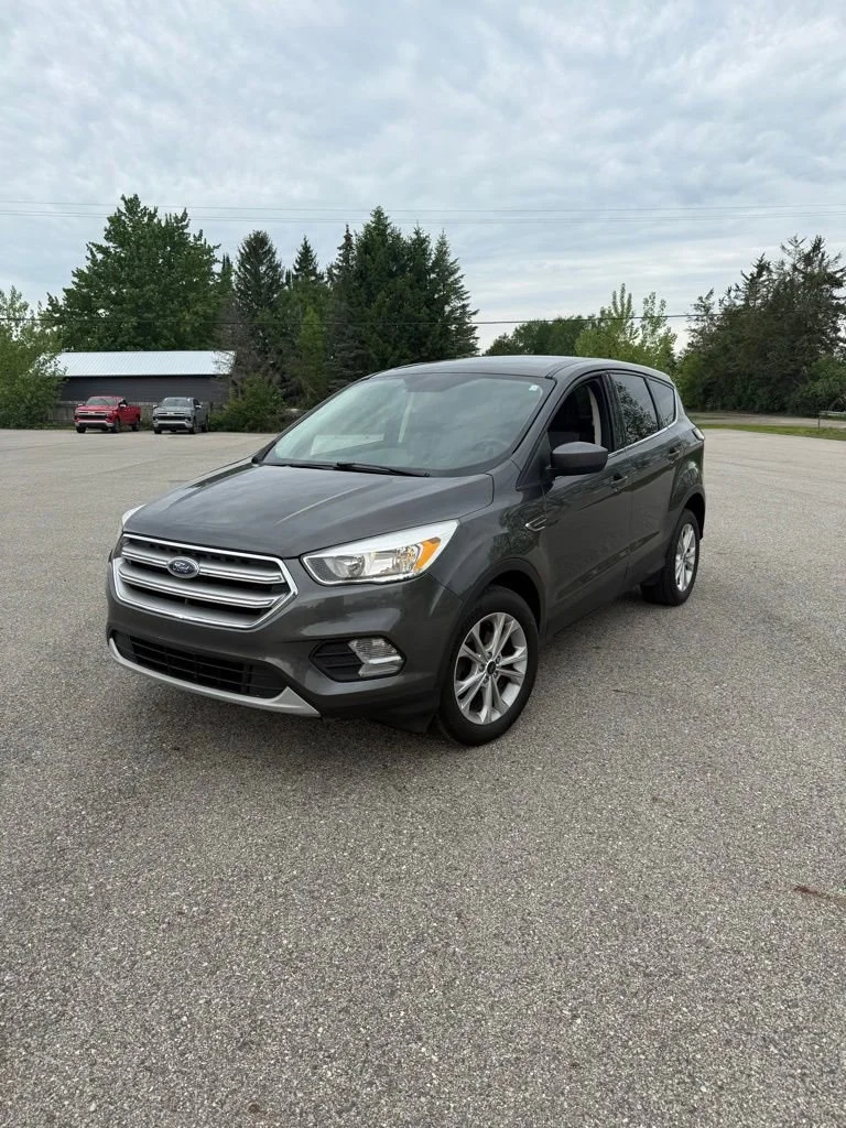 2017 Ford Escape SE's photo