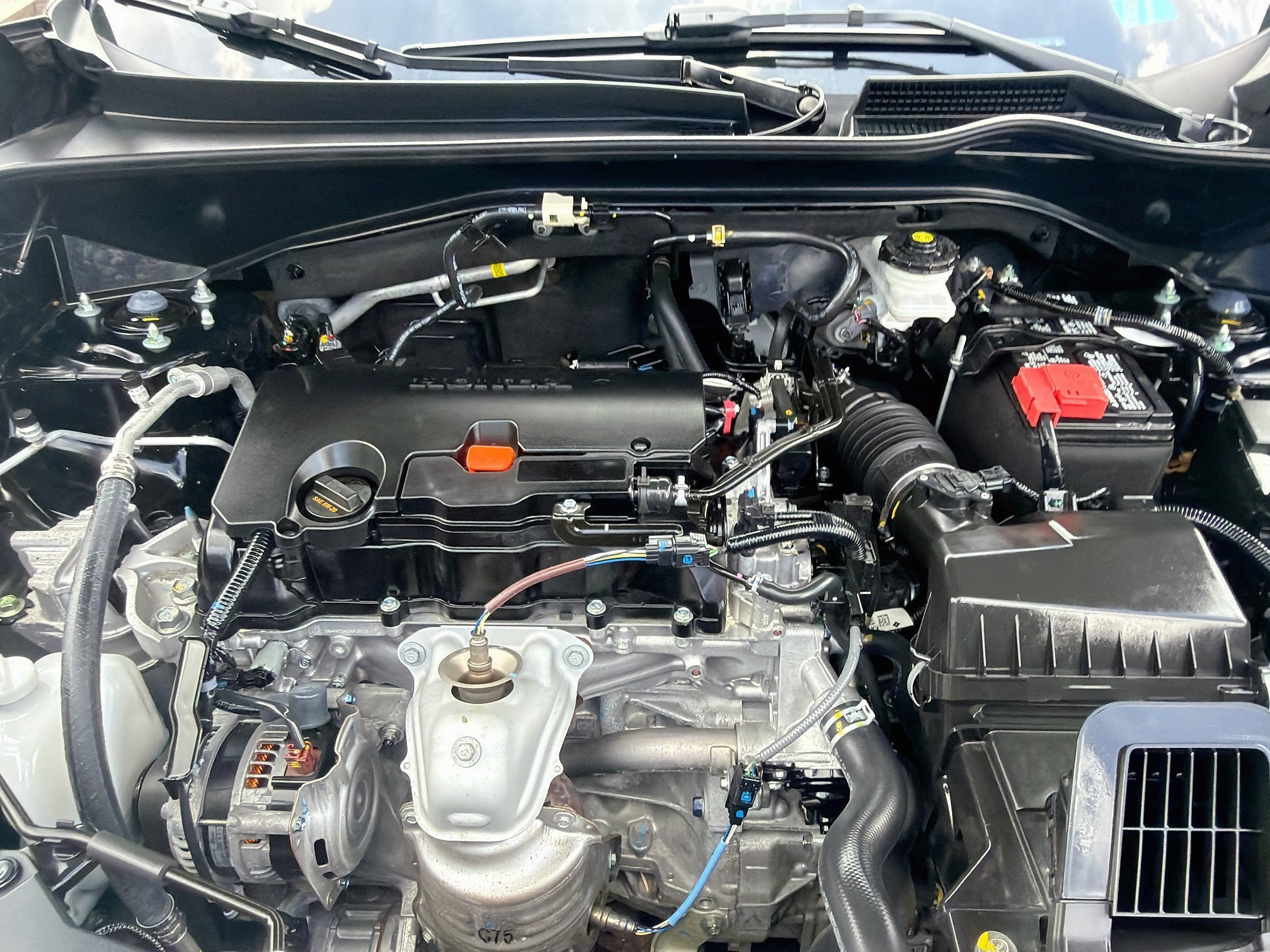 Used 2024 Black Honda Sport image 34