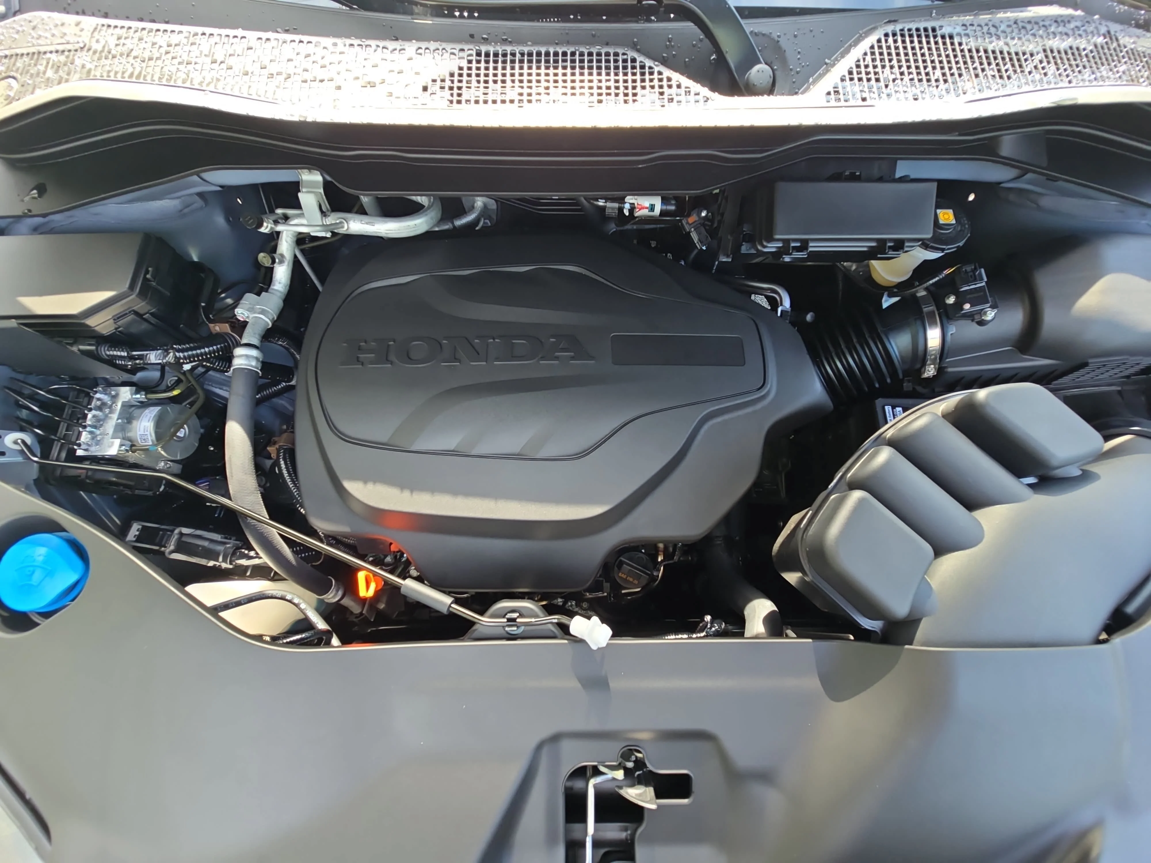 New 2026 Sonic Gray Pearl Honda RTL image 31