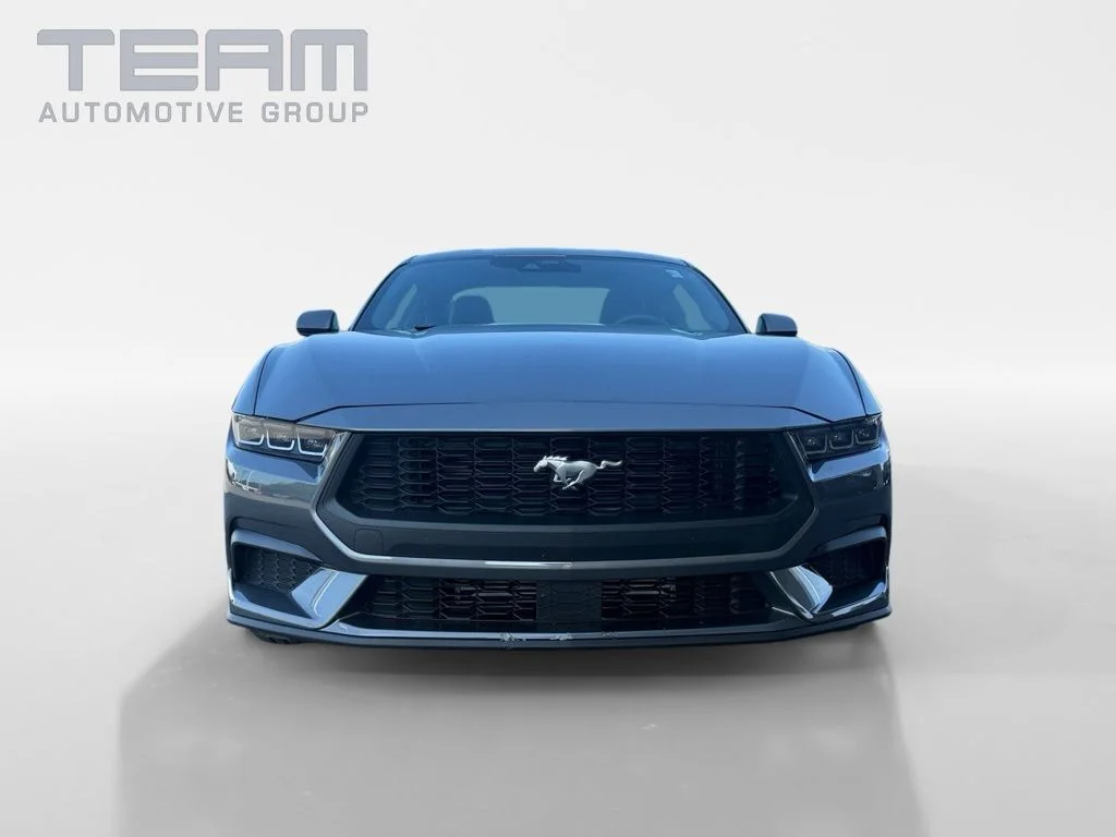 Used 2025 Gray Ford EcoBoost image 2