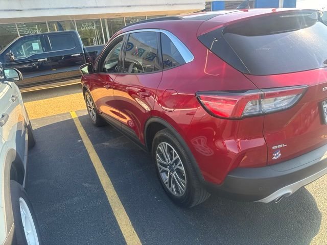 Used 2021 Ford Escape SEL with VIN 1FMCU0H68MUA07489 for sale in Washington, MO