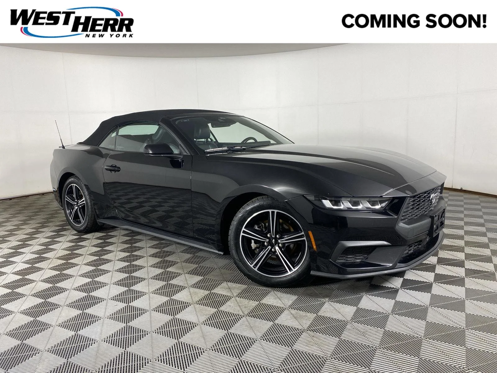 Used 2024 Shadow Black Ford EcoBoost Premium image 1