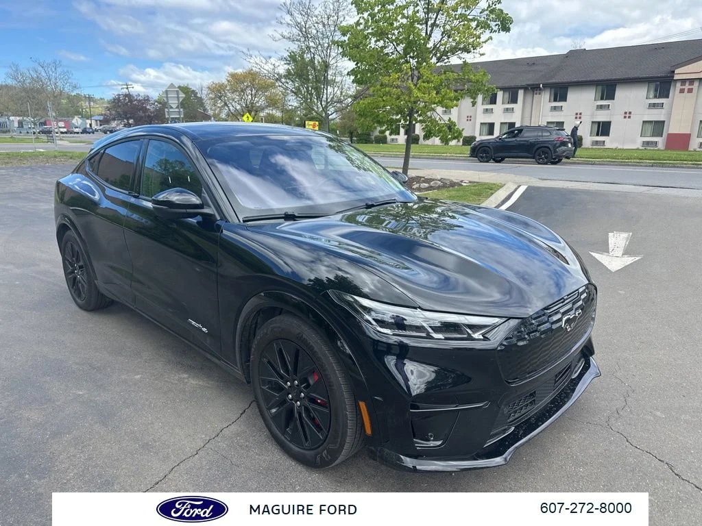 2025 Ford Mustang-Mach-e Premium's photo