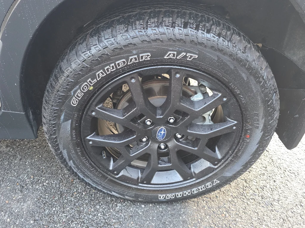 2025 Subaru Crosstrek Wilderness - Photo 6
