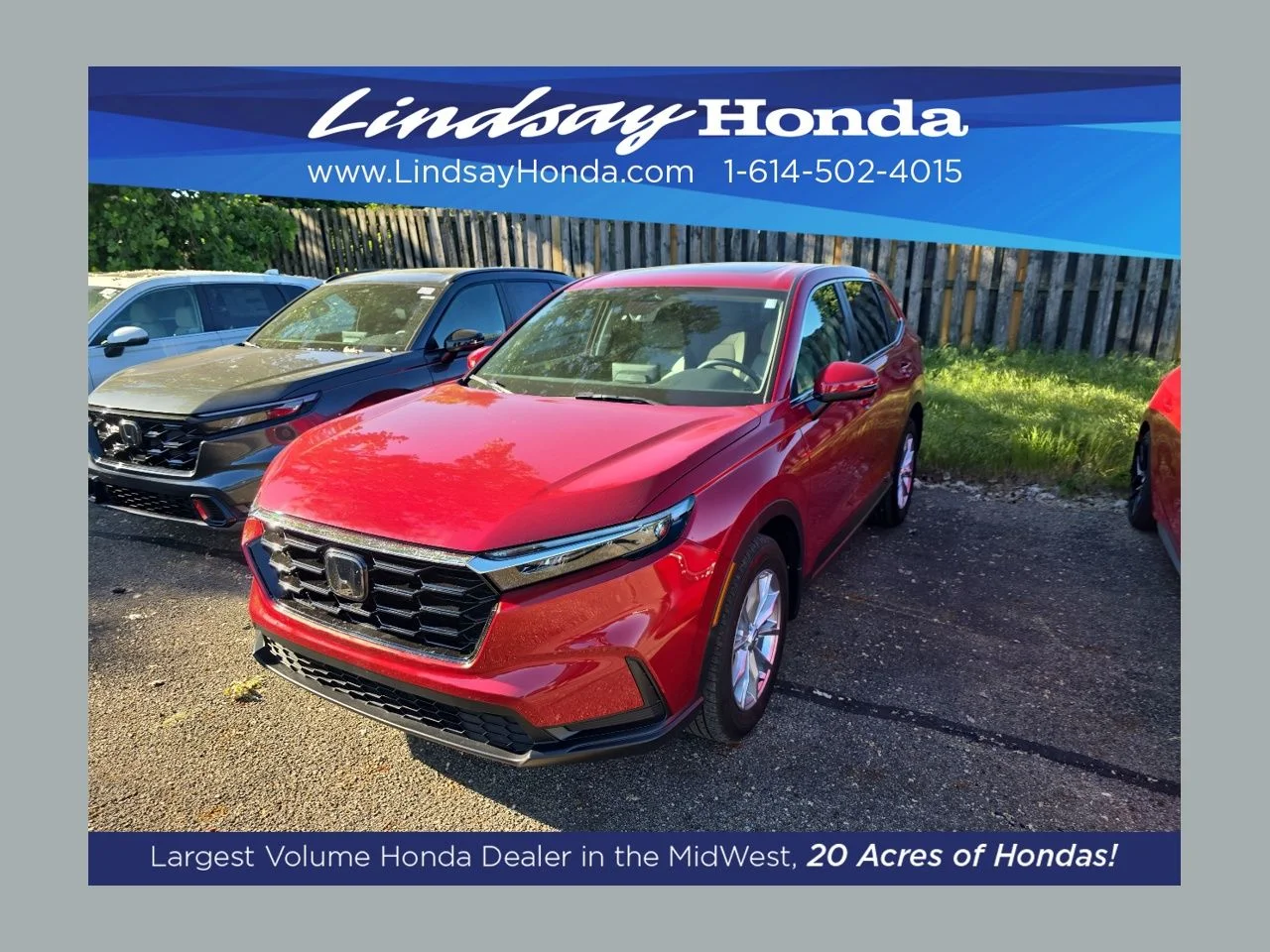 2024 Honda CR-V EX AWD's photo