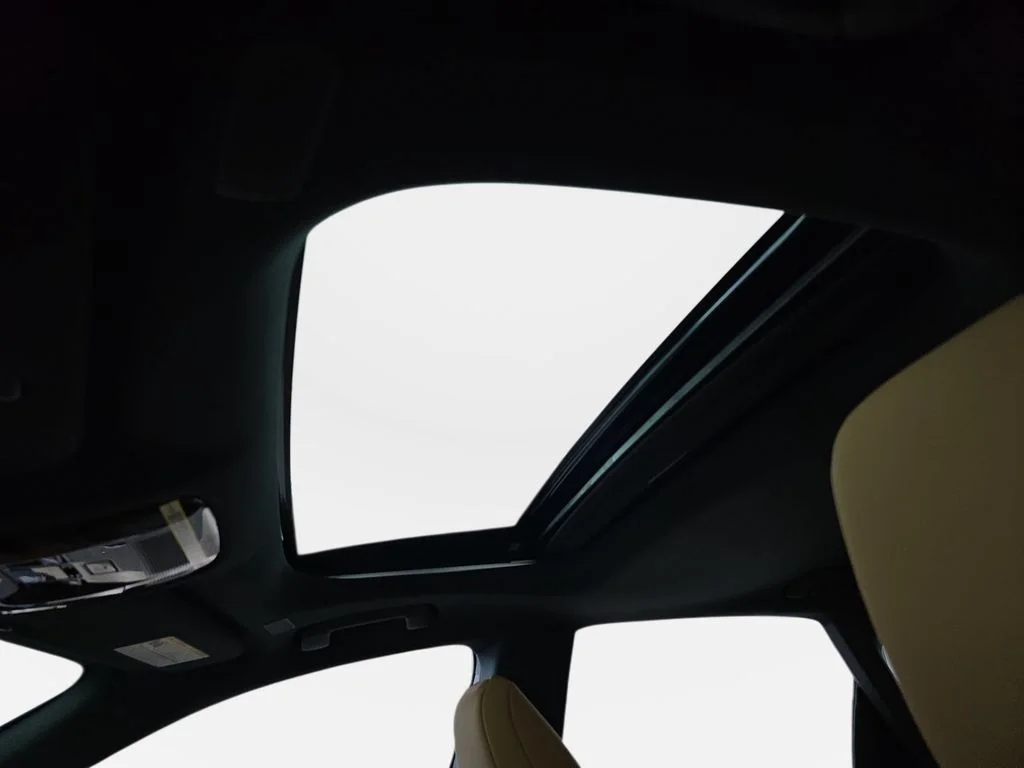 New 2026 Iridium Lexus PREMIUM image 28