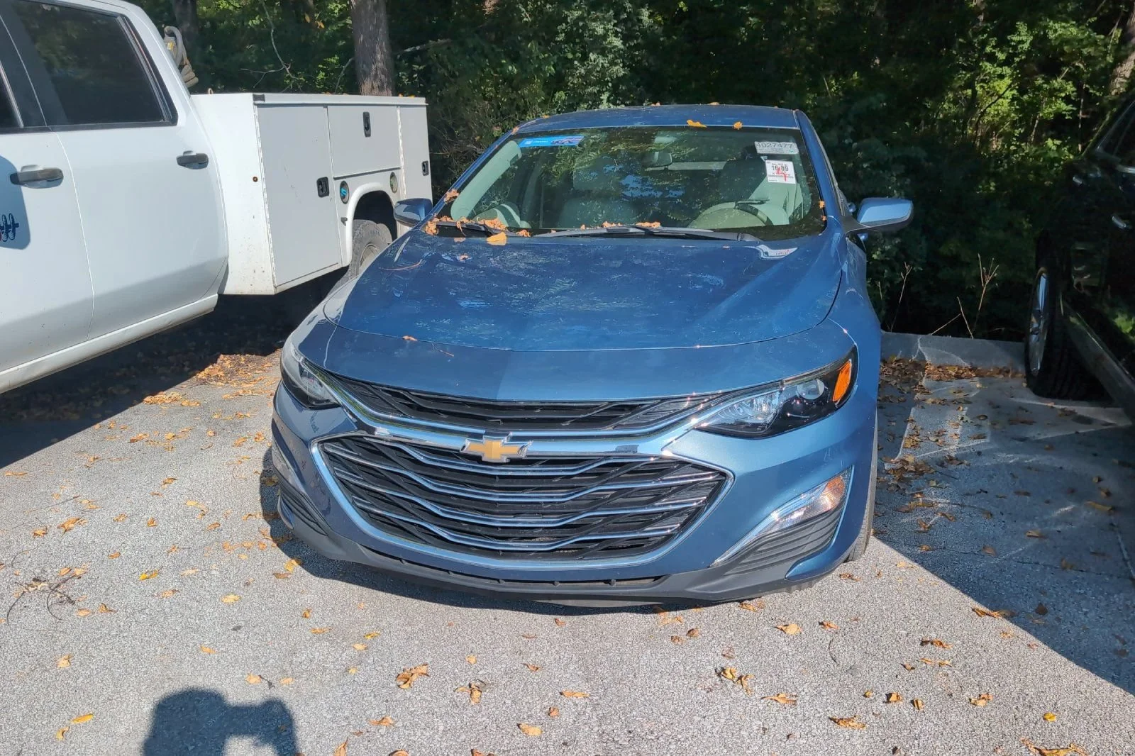 Used 2025 Lakeshore Blue Metallic Chevrolet LS image 12
