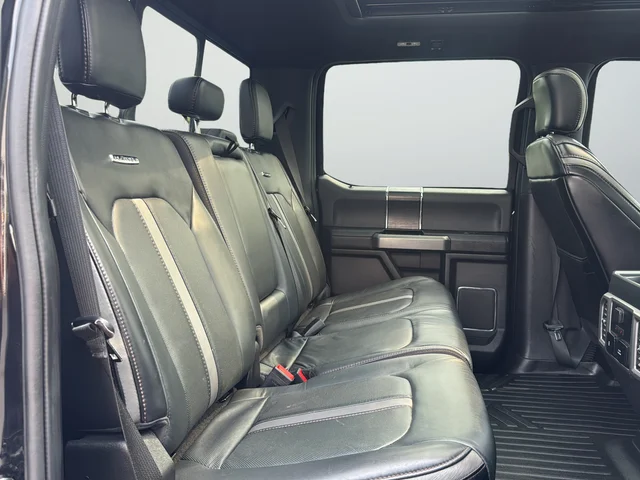 Used 2019  Ford Platinum image 25
