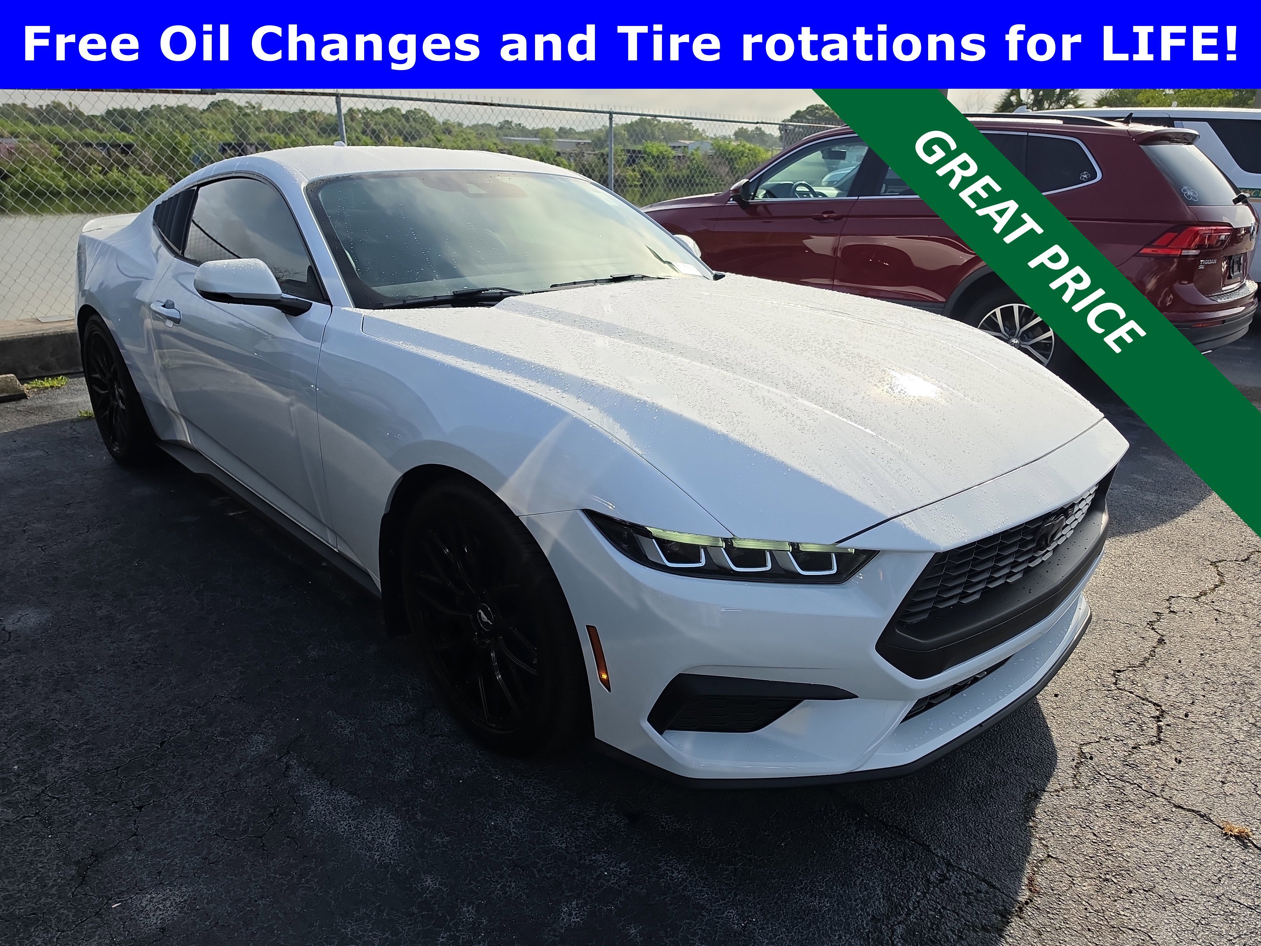 2024 Ford Mustang EcoBoost Premium Fastback's photo