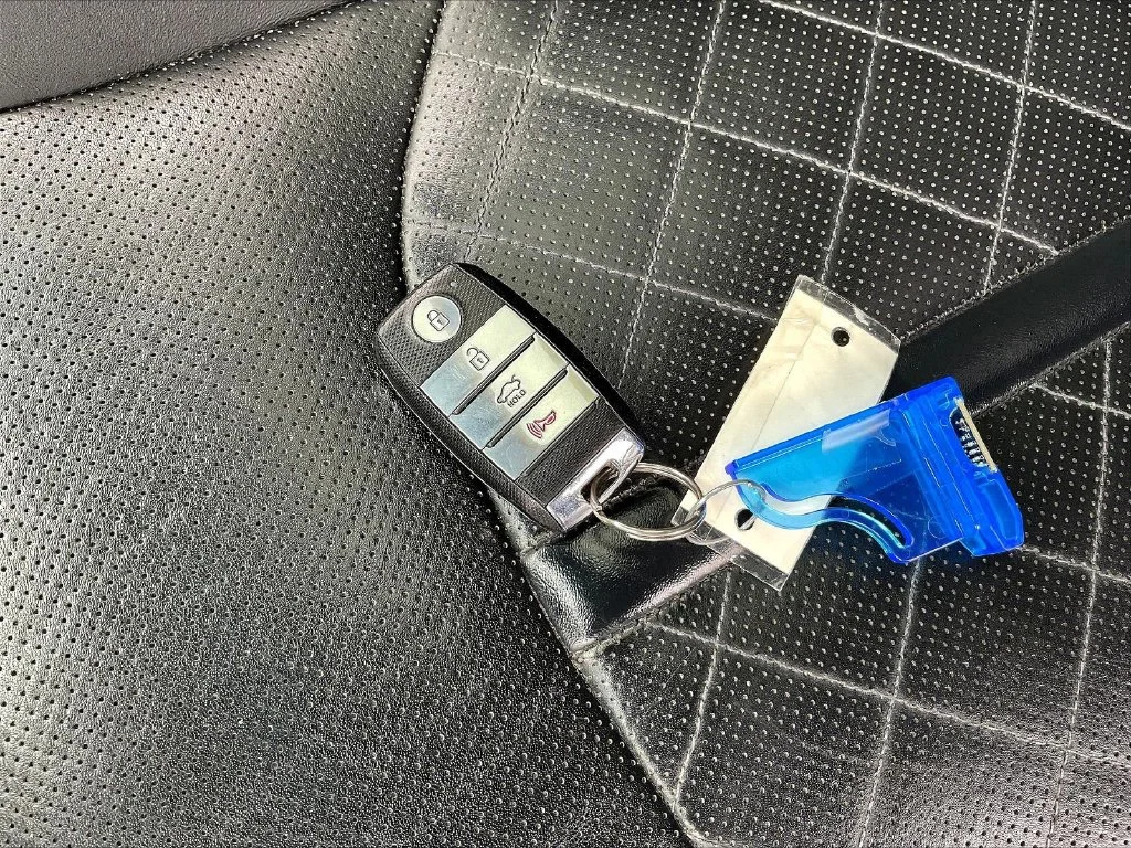 Used 2019 Horizon Blue Kia SX image 36