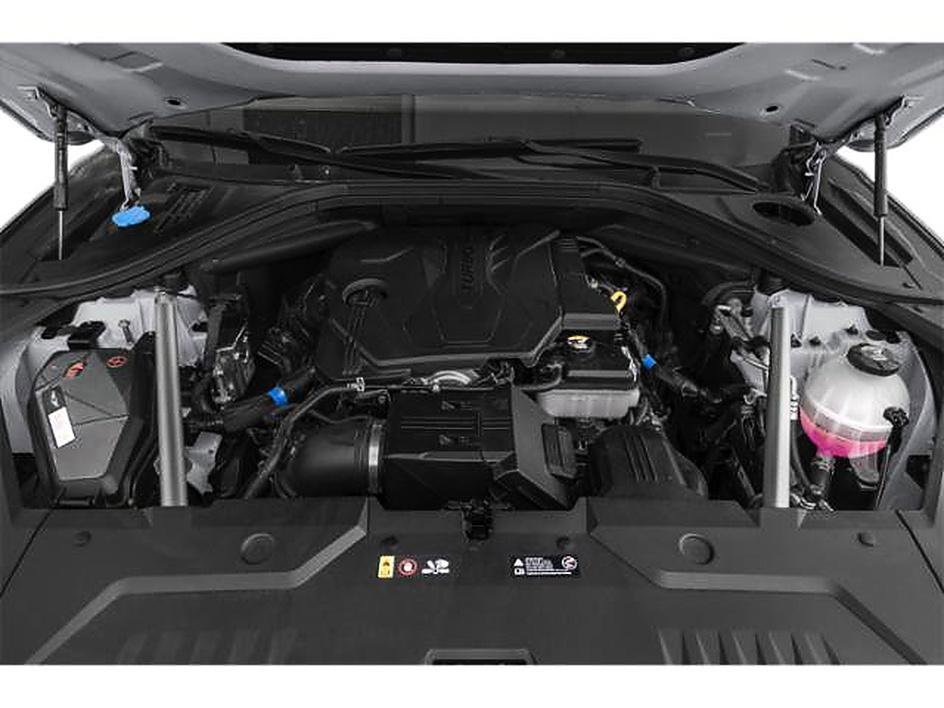 New 2026 Vik Black Genesis 2.5T image 9